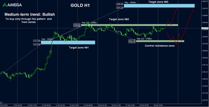 AMEGA        GOLD    19.10.2018