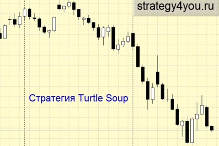 Видеоурок 'Turtle Soup'