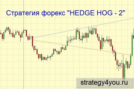  'Hedge Hog - 2'