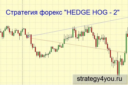 Видеоурок 'Hedge Hog - 2'