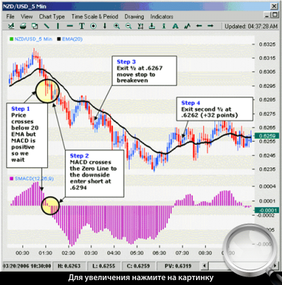 5-  NZDUSD.     .