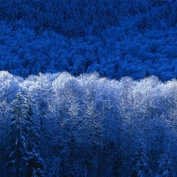 iviury2011