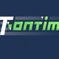 it_ontimes