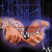 cool.forex-centr