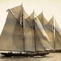 tt7770