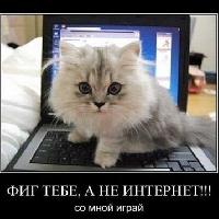 andrey.popadyuk.60