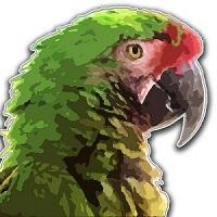 AdvisorTC.ru