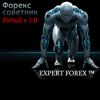 Expert Forex