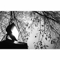 Evans_1123