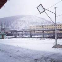 Rielt295