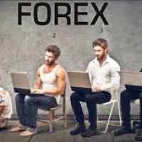 Forexmaster
