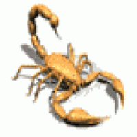 kurgaanton