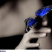 Nadin
