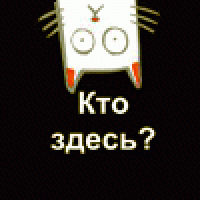 yamoz91