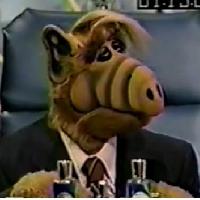 foxrex1