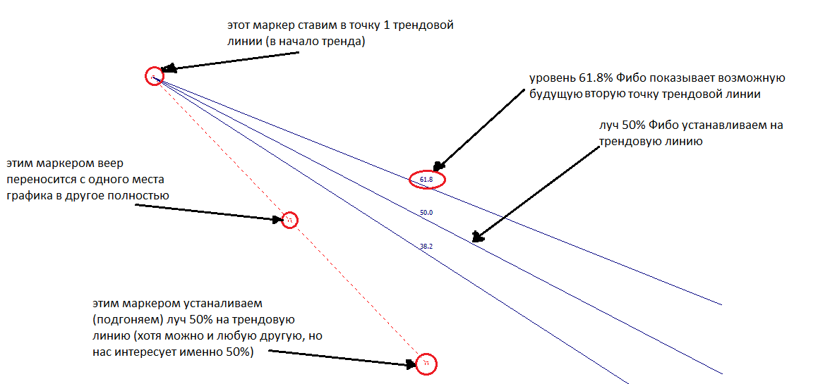 Вторая точка