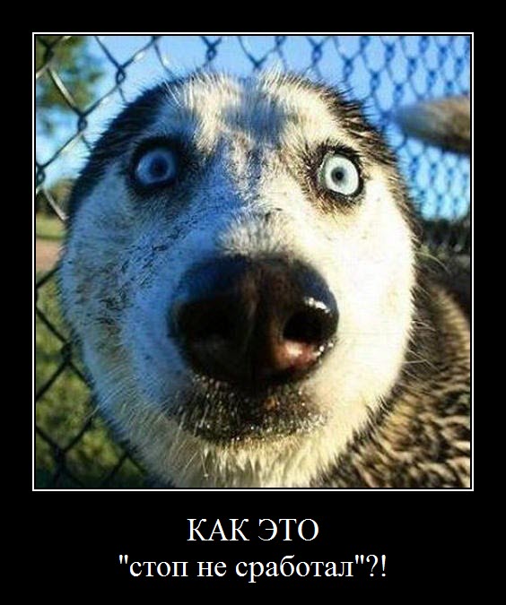 Страшно-смешной Страшно-смешной