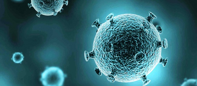          .    ,     ,    .         Tron (TRX) —  ,        -.     ,        .