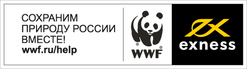 EXNESS и WWF объединили усилия EXNESS и WWF объединили усилия