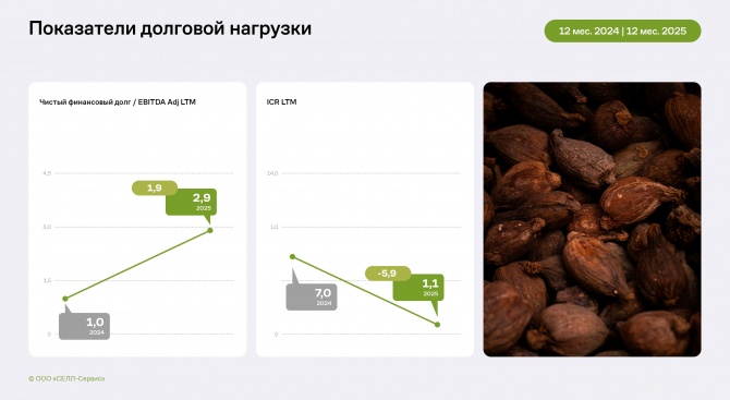 Финансовые показатели «СЕЛЛ-Сервис» за 12 месяцев 2025 года Финансовые показатели «СЕЛЛ-Сервис» за 12 месяцев 2025 года