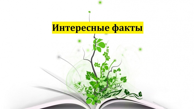 Интересные факты №1 Интересные факты №1