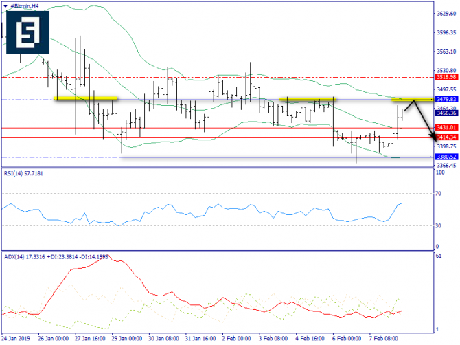   BTC/USD  8 , 2019