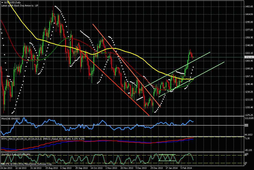 Прогноз пары золота /USD 20.02.2014 Прогноз пары золота /USD 20.02.2014