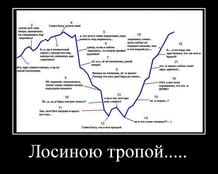 Форекс демотиваторы Форекс демотиваторы