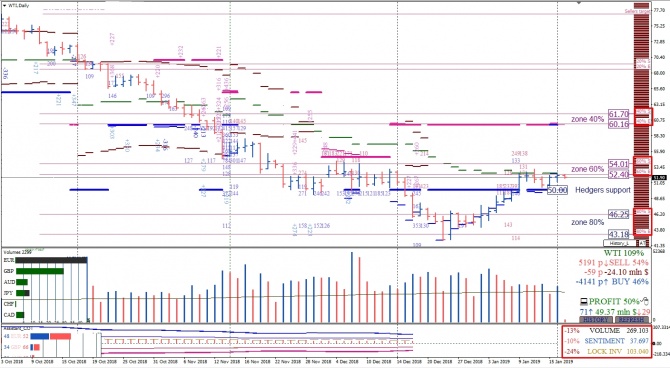        Crude Oil  17.01.2019