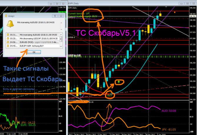 ТС СкобарьV5.1-АНОНС новой версии ТС СкобарьV5.1-АНОНС новой версии