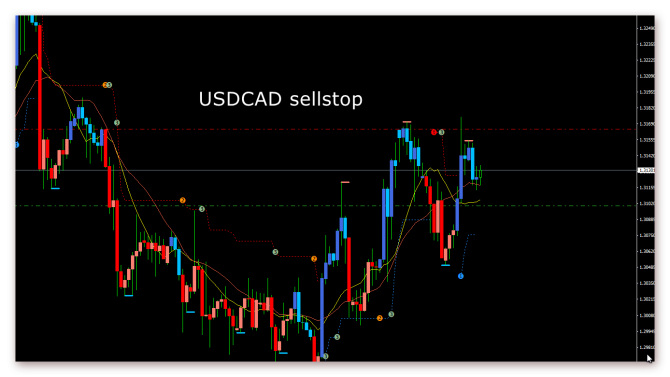 USDCAD психованный мажор USDCAD психованный мажор