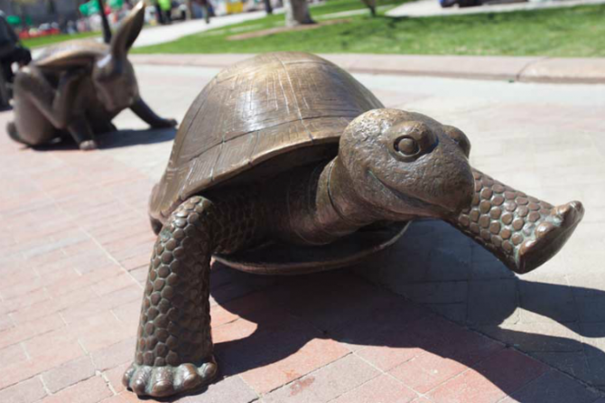 ���� ���������