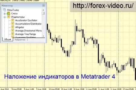 Metatrader 4 -   !